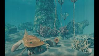 The Secrets of the Ancient Sea  360 degree animation [upl. by Bouchard]