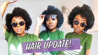 1 Month Natural Hair Update  Keratin Treatment  4C Hair [upl. by Leksehcey]