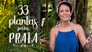 33 PLANTAS de SOL e PRAIA [upl. by Llaccm]