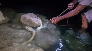 Pescando Anguilas de Rio Con Fisga [upl. by Anirbaz]