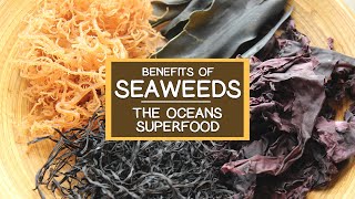 The Nutritional Benefits of Seaweed The Oceans Superfood [upl. by Enneirda]