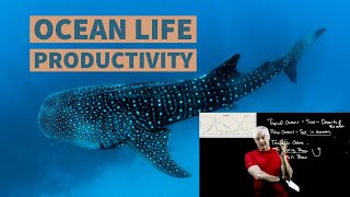 Ocean Productivity Simplified [upl. by Wye334]