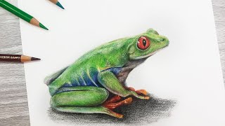 How To Draw a FROG using COLORED PENCIL [upl. by Tnomad]