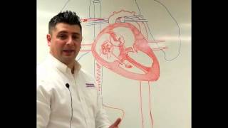 Neonatal Circulation Part 13 Preductal Sp02 [upl. by Yentiw540]