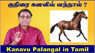 குதிரை கனவில் வந்தால் என்ன பலன்  Horse Kanavil Vanthal Enna Palan  Kuthirai Kanavil Vanthal Palan [upl. by Lenes]