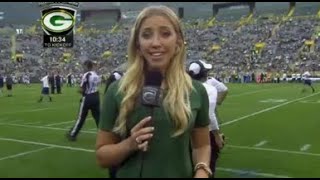 NFL Hottest Female Reporters [upl. by Iznekcam801]