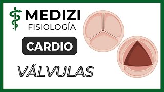 Clase 18 Fisiología Cardíaca 3  Función de las válvulas IGdoctorpaiva [upl. by Siddra]