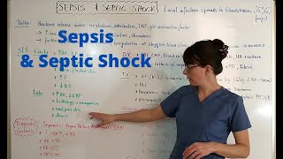 Sepsis amp Septic Shock [upl. by Xirdnek]