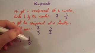 Reciprocals  Corbettmaths [upl. by Gone]