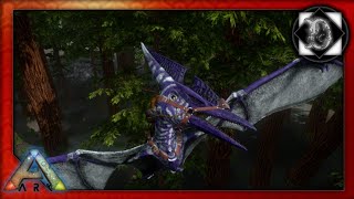 Taming a High Level Pteranodon Best spawn locations [upl. by Aicaca]