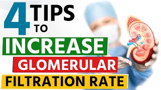 4 Tips to Increase Glomerular Filtration Rate GFR [upl. by Milak177]