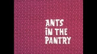 Ant and the Aardvark ANTS IN THE PANTRY  2 bumpers TV version laugh track [upl. by Luas]