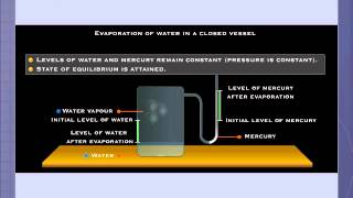 Liquid Gas Equilibrium [upl. by Edelson]