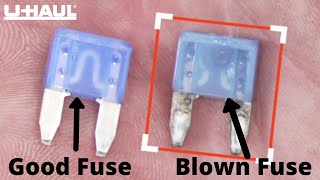 Blown Fuse How to Test Your Fuses [upl. by Oalsecnew34]