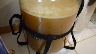 Homebrewing Basics Fermentation [upl. by Skell]