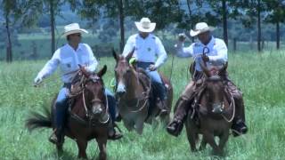 RANCHO JS  BRINCO NO BOI  LAÇO EM MULA  Santa Elvira  Apuí Produtora [upl. by Tebzil]