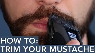 How to Trim Your Mustache [upl. by Elyod60]