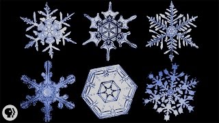 The Science of Snowflakes [upl. by Seyer]