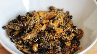 Creamed Mopane Worms  Amacimbi  Madora [upl. by Nalliuq354]