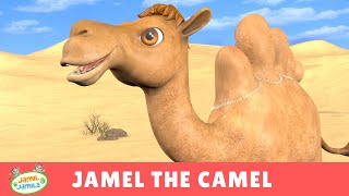 Jamel the Camel  Jamil and Jamila Songs for Kids [upl. by Qidas831]