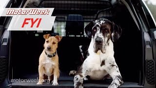 DogFriendly Cars  MotorWeek FYI [upl. by Lovering]