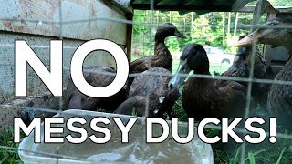 quotNo Messy Ducksquot  How to Raise CLEAN Ducks [upl. by Azer]