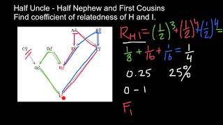 How to Find Relatedness and Inbreeding Coefficient practice problem [upl. by Greer167]