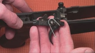 How to install the Geissele SSAE Trigger in your AR15 [upl. by Yedoc]