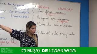 5  Figuras de Linguagem  Grasiela Cabral [upl. by Enitsugua960]