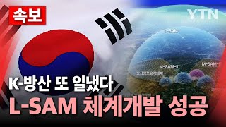 🔴속보 한국형 사드 LSAM 체계개발 완료quot획기적 진전quot  YTN [upl. by Marv]