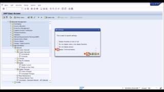 SAP How to display Tcodes in SAP menu [upl. by Smukler]