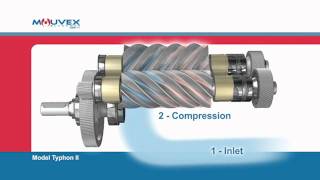 Screw Compressor Principle Mouvex Overview [upl. by Lot878]