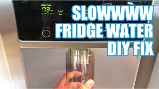 Slow refrigerator water dispenser DIY FIX [upl. by Danya]