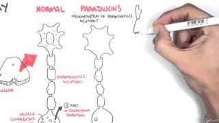 Pharmacology  Parkinsons Disease [upl. by Quenby954]