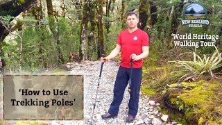 How to Use Trekking Poles [upl. by Hanni]