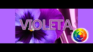 Como saco el Color Morado o Violeta [upl. by Kursh]