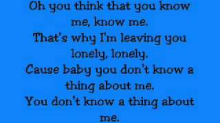 Kelly Clarkson  Mr know it all Lyrics on Screen [upl. by Mayer]