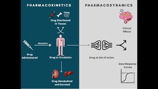 Antidepressants Pharmacology  Soton Brain Hub [upl. by Irianat]