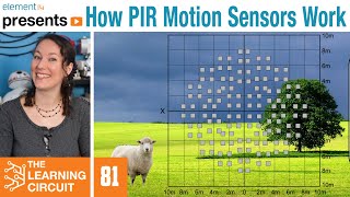 How PIR Motion Sensors Work  The Learning Circuit [upl. by Airotel]