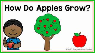 How Do Apples Grow Apple Life Cycle [upl. by Caressa]