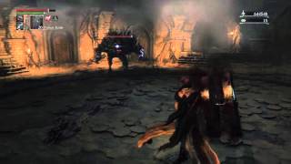 Roaming Abhorrent Beast in Chalice Dungeon [upl. by Kilar989]