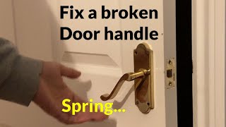 How to fix a Loose Door Handle  Replace broken spring [upl. by Camellia]