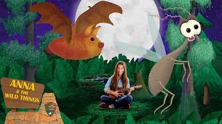 Echolocation The Bat Song Educational  Kids Music  2019 [upl. by Courtenay298]