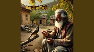 Seydayê Tîrêj  Avim Çika [upl. by Yasui]