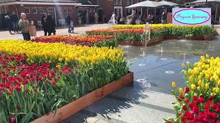 Beautiful Flowers at McArthurGlen Designer Outlet at Roermond Netherlands [upl. by Anaili413]