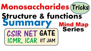 Monosaccharides structure and function biochemistry lecture [upl. by Lach990]