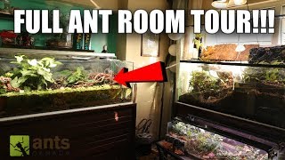 A Room Full of Ant Farms  2 Million Subs Special [upl. by Errol]