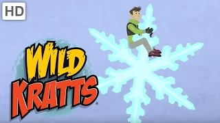 Wild Kratts  How a Snowflake is Formed [upl. by Kondon]