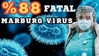 FACTS ABOUT THE DEADLY MARBURG VIRUS [upl. by Ginnie]