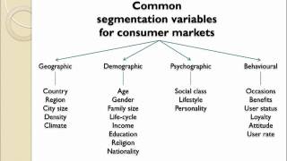 Market Segmentation Introduction [upl. by Eaneg]